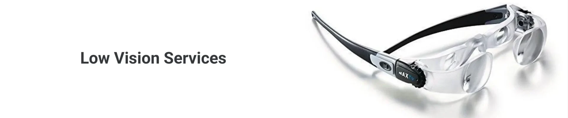 Low vision Services