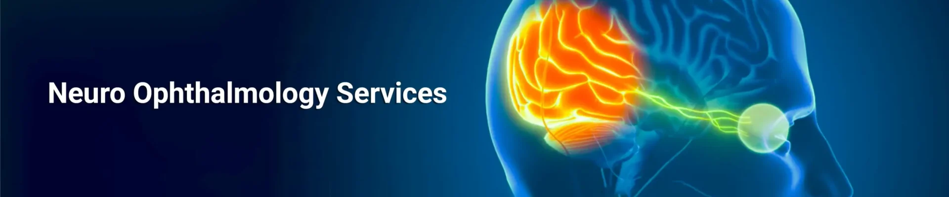 Neuro ophthalmology services